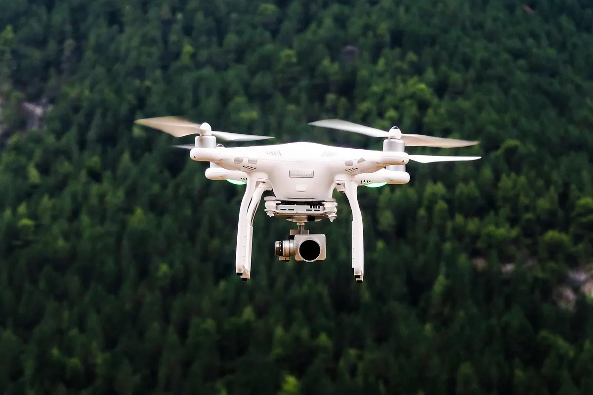 LoRa vs. Cellular IoT for Moorland Conservation Projects: Which Connectivity Fits?